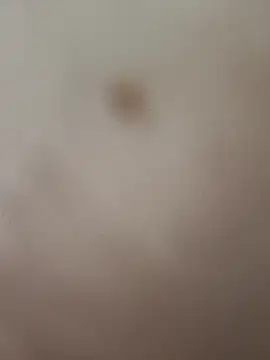 elvergon8721 online show from 20, 2, 2026