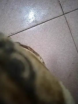 the sayem fuckboy online show from 11, 3, 2026