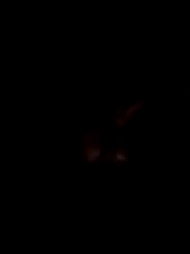 Harry302933 online show from 11, 3, 2026