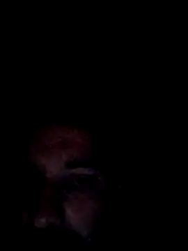 no-name15 online show from 16, 2, 2026