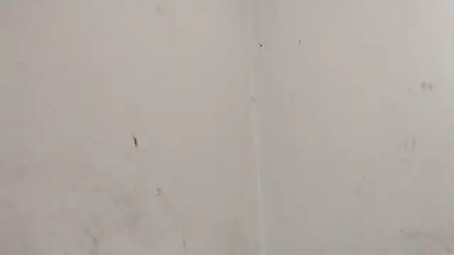 Snapshot of MisterSnowww chatting on 6, 3, 2026 MisterSnowww online show from 6, 3, 2026