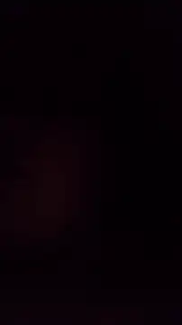 TululipuZ online show from 29, 3, 2026