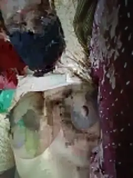 Meena sakshi online show from 28, 5, 2026