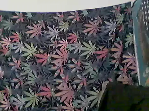 Snapshot of libraxxxstudios chatting on 12, 6, 2026 libraxxxstudios online show from 12, 6, 2026