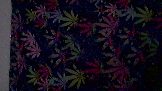 Snapshot of libraxxxstudios chatting on 3, 7, 2026 libraxxxstudios online show from 3, 7, 2026