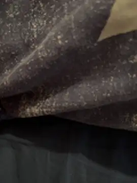 Enzo 2763 online show from 25, 2, 2026