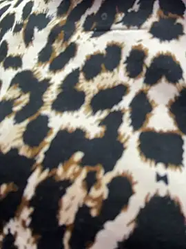 Maaddy LS online show from 15, 2, 2026