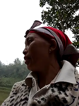 lena-cute online show from 7, 3, 2026