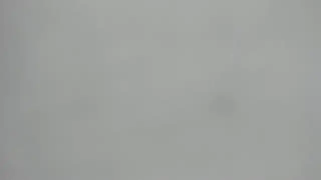  1DERECK online show from 19, 2, 2026