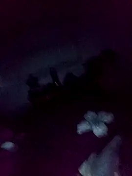 loveofpetitegirls34 online show from 13, 2, 2026