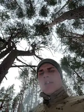 Nemont online show from 12, 2, 2026