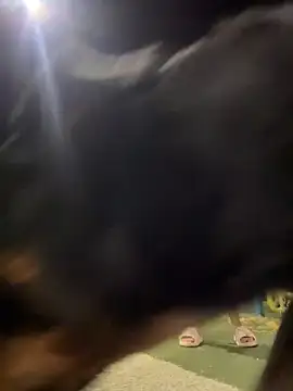 Arya    online show from 19, 2, 2026