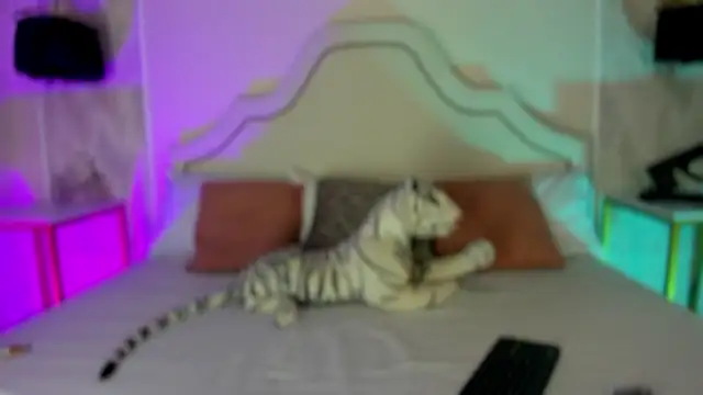 niicole garner online show from 25, 2, 2026