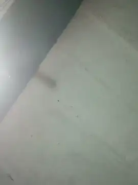 Hot ras28 online show from 20, 2, 2026