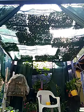 gordorichard online show from 21, 2, 2026