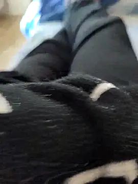 pericolo90 online show from 7, 4, 2026