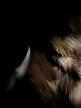 Snapshot of Nonamebadboy7 chatting on 18, 3, 2026 Nonamebadboy7 online show from 18, 3, 2026