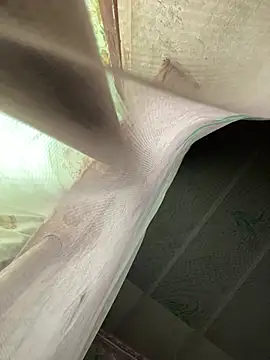 Kimochi baby online show from 22, 3, 2026