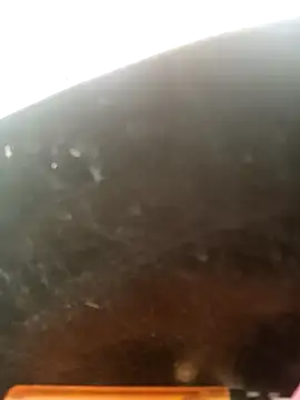 perrit17 online show from 13, 3, 2026