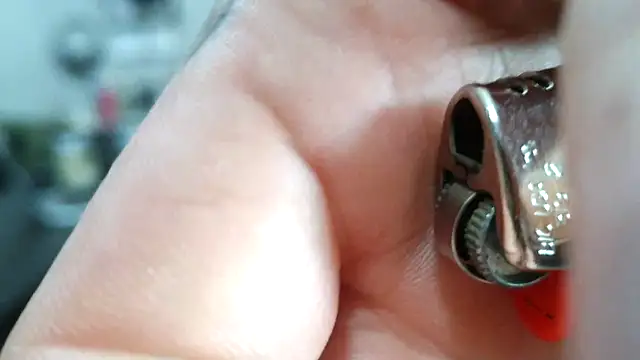 F D R  online show from 19, 4, 2026