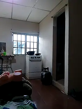 polla large active online show from 7, 4, 2026