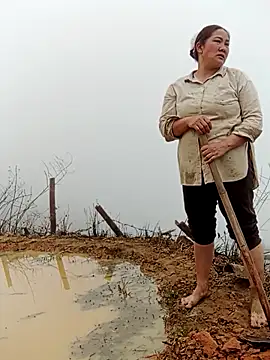 bongtuyet11 online show from 4, 3, 2026