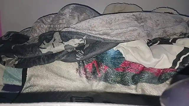 rodrigo uwu1 online show from 8, 2, 2026