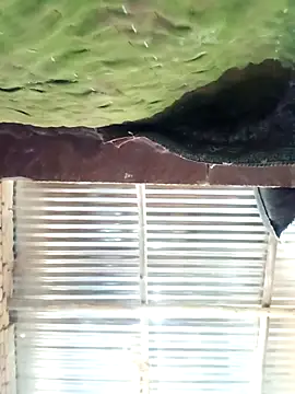 Hot ree64 online show from 13, 3, 2026