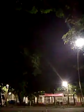 Andres sant  online show from 12, 4, 2026