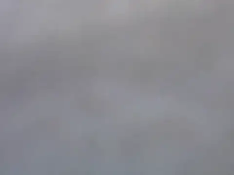 Dini 40 online show from 5, 2, 2026