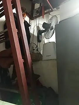 Wildcam21 online show from 28, 2, 2026