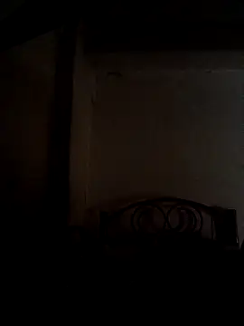 Wildcam21 online show from 17, 2, 2026