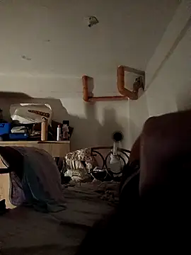 Wildcam21 online show from 19, 2, 2026