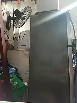 Wildcam21 online show from 3, 3, 2026