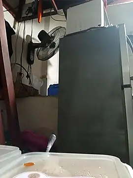 Wildcam21 online show from 24, 2, 2026