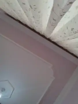 boraaily online show from 23, 2, 2026