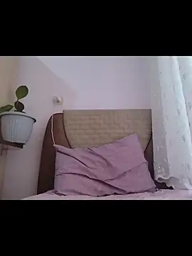 boraaily online show from 24, 2, 2026