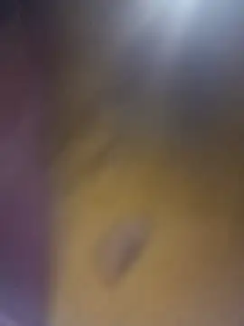 cuunon11 online show from 18, 2, 2026