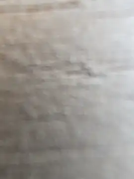 manish 8826 online show from 12, 2, 2026