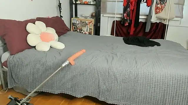 Snapshot of CalmFever chatting on 19, 2, 2026 CalmFever online show from 19, 2, 2026