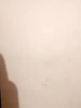 Wow nikita online show from 2, 4, 2026