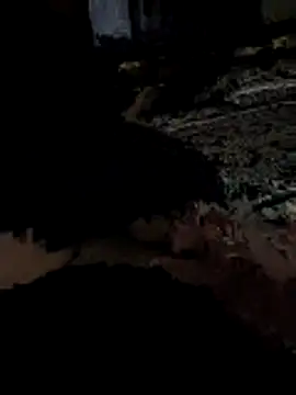 boyrir online show from 23, 2, 2026