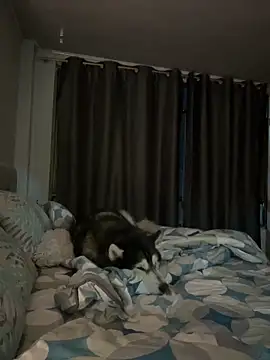 RachelWeisz  online show from 23, 4, 2026