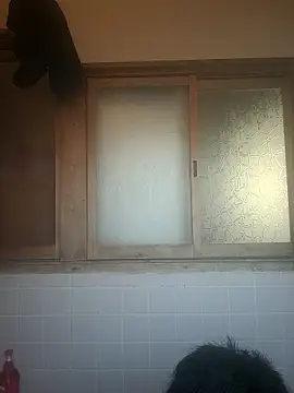 Dotsan online show from 2, 4, 2026