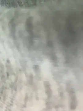 pussyeater - online show from 8, 3, 2026