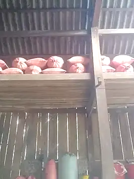 Linka998 online show from 3, 3, 2026