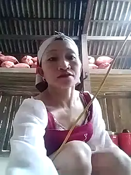 Linka998 online show from 2, 3, 2026