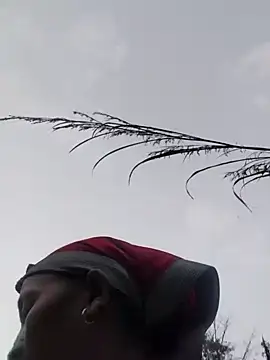 Linka998 online show from 20, 3, 2026