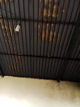 Linka998 online show from 2, 4, 2026