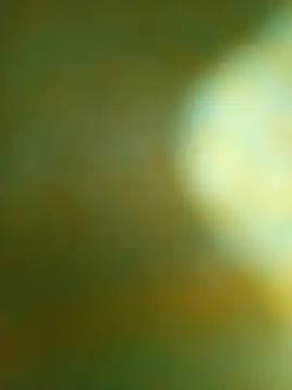 Rithu SL online show from 10, 3, 2026